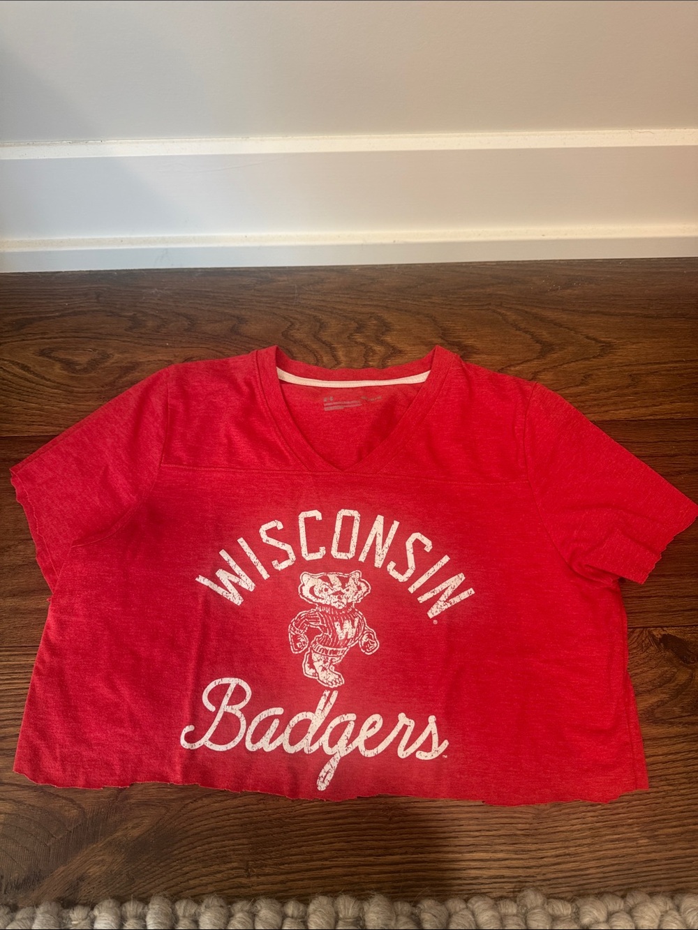 Wisconsin Badgers Red Graphic Tee